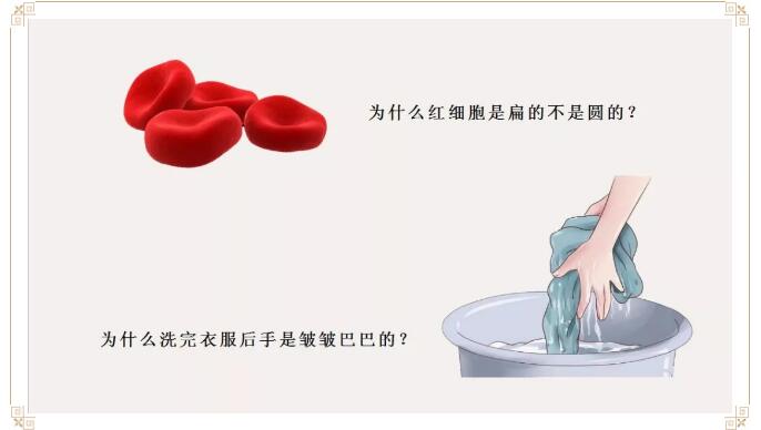 1553156727102252.jpg 4.jpg