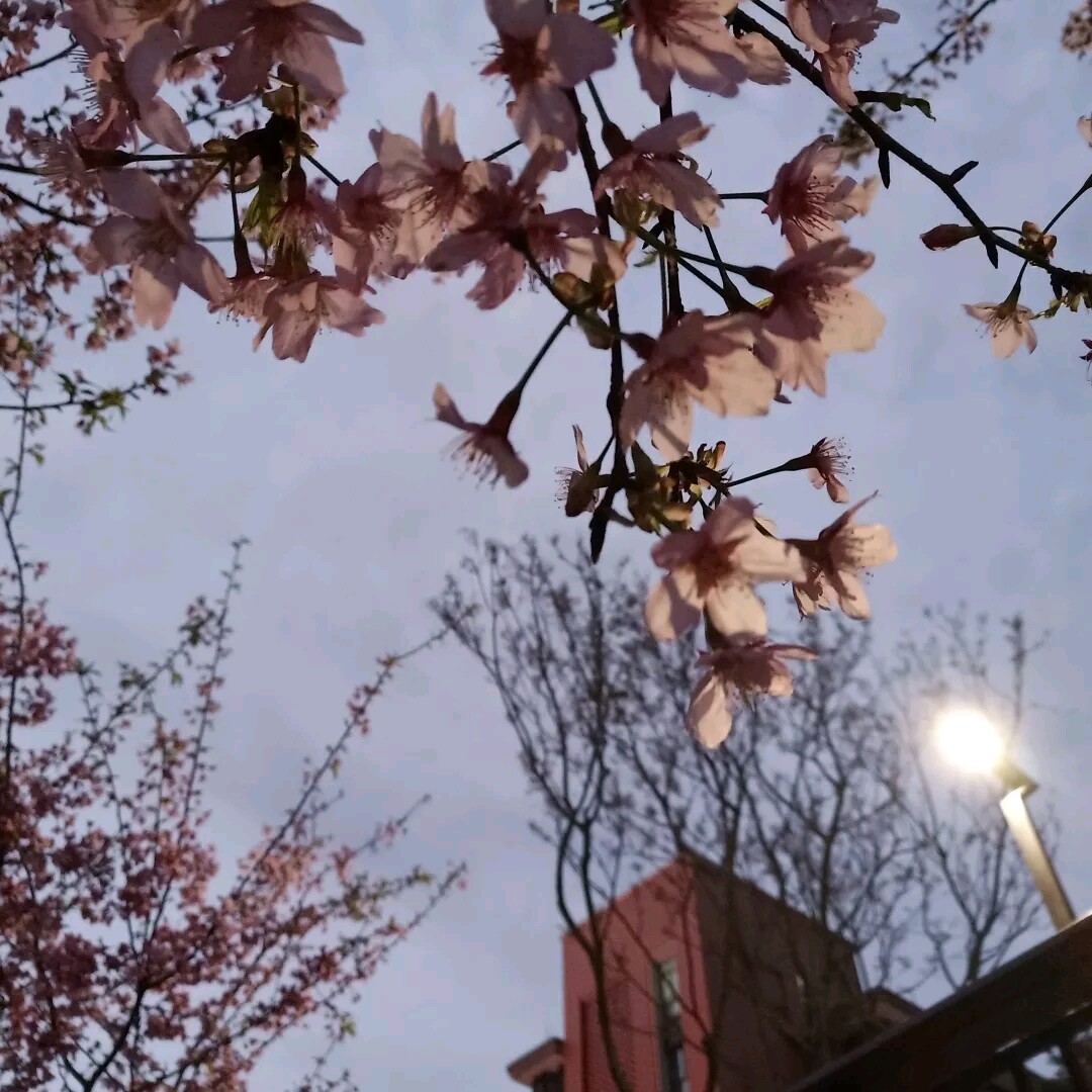 1553500533928195.jpg 01.jpg