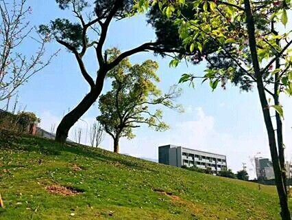 1553500800545083.jpg 05.jpg