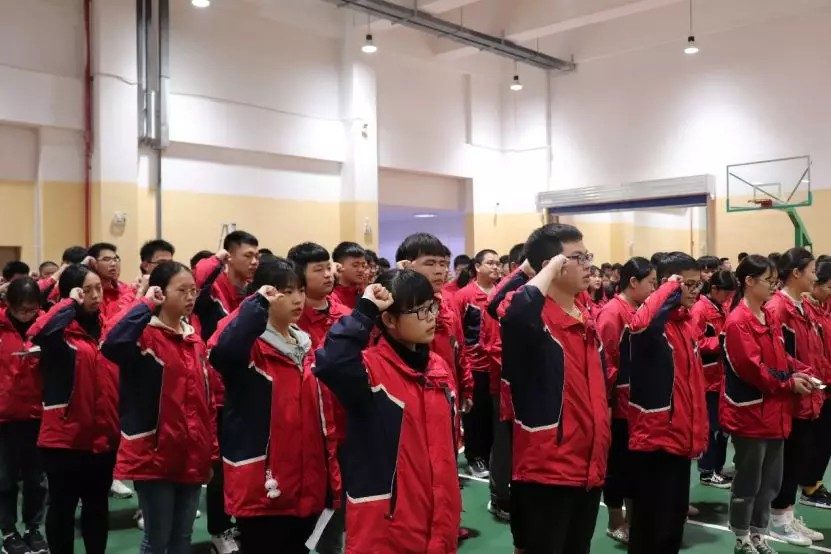 1556242235200786.jpg 10.jpg