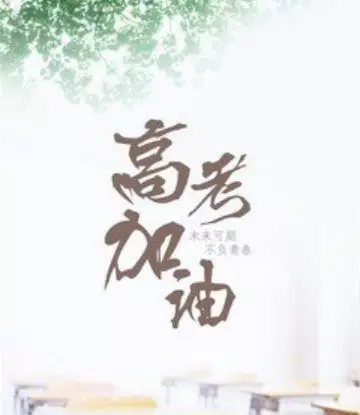 1556242310284397.jpg 13.jpg