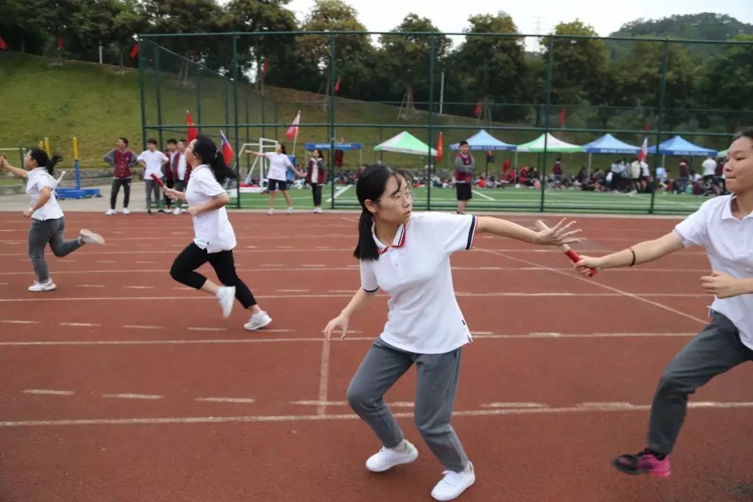 1573717614330420.jpg 49.jpg