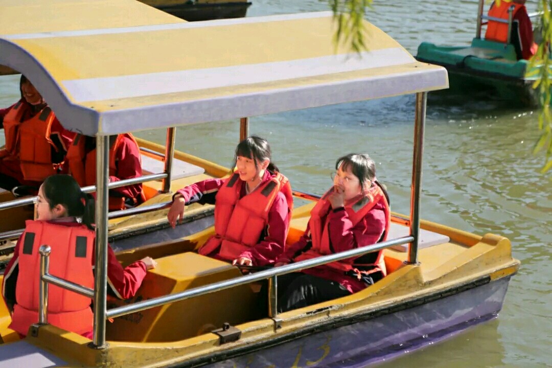 1577260395913505.jpg 06.jpg