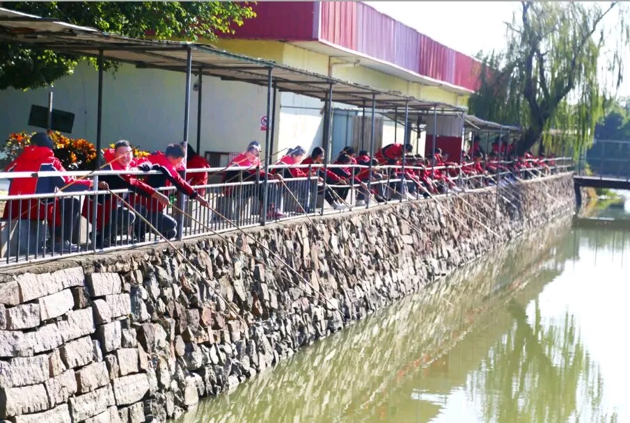 1577260404303477.jpg 07.jpg