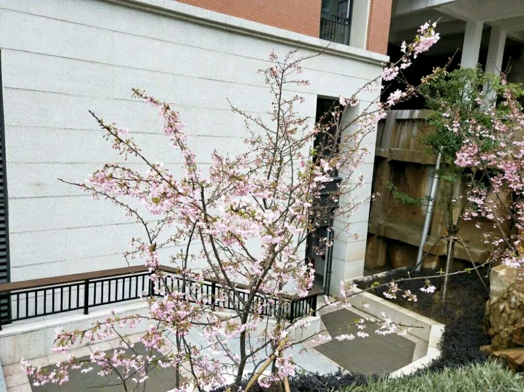 1587863790362677.jpg 45.jpg