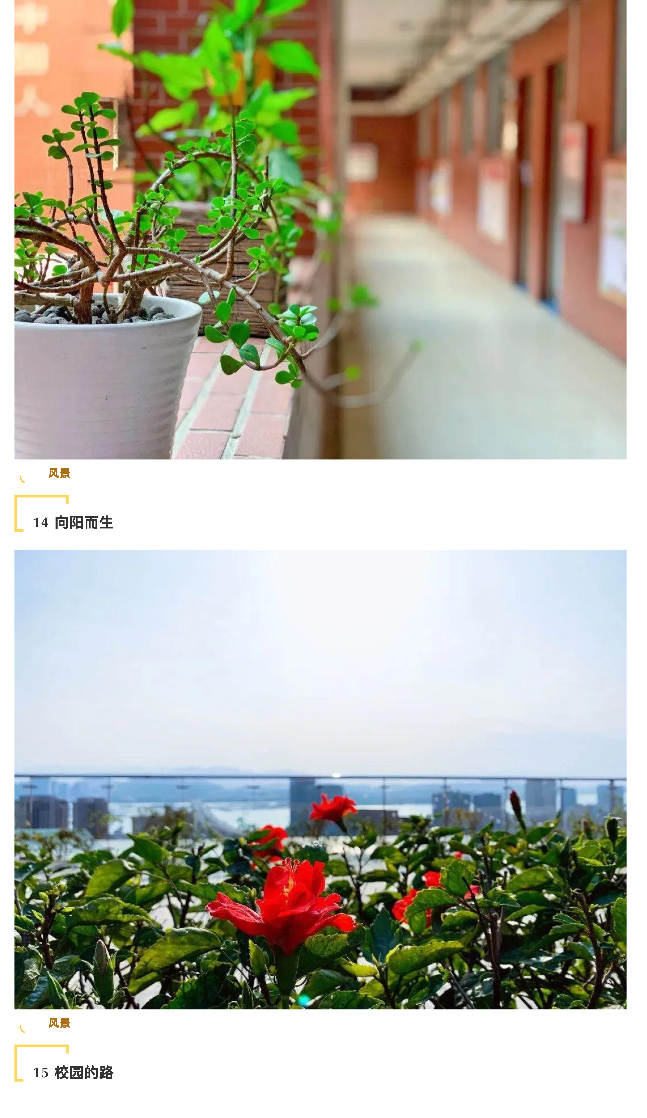 “說陽光故事 展陽光風采”攝影大賽-8.jpg